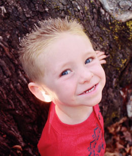 Science Laboratory 网站攻击器